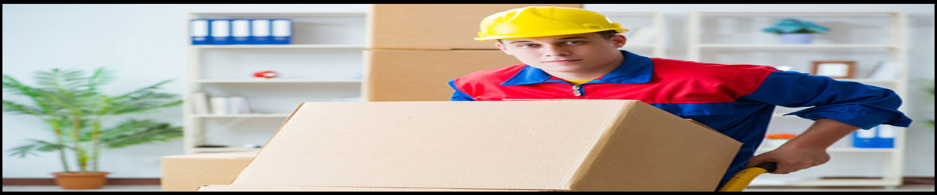 Packers And Movers Noida Sector 159